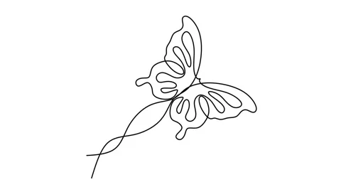 Butterfly continuous line drawing animation Stock Footage 157037660