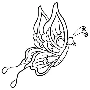 Butterfly, contours Stock-Illustration
