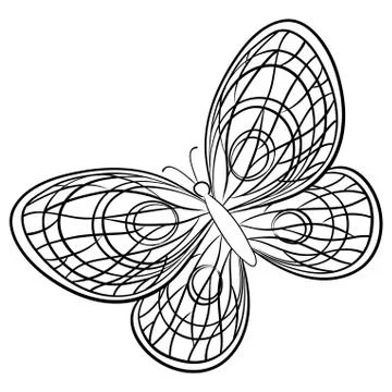 Butterfly, contours Stock Illustration