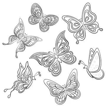 Butterfly, contours Stock Illustration