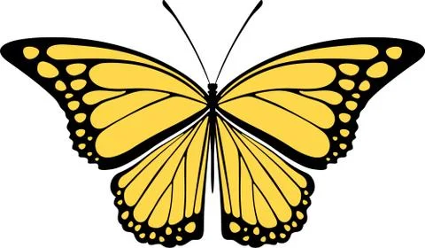 Butterfly design isolated on white background in vector format very easy to e Stock Illustration