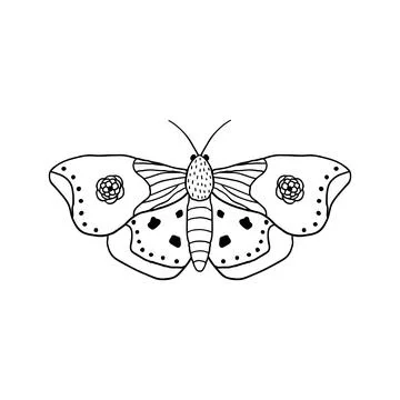 Butterfly in doodle style Stock Illustration