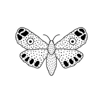 Butterfly in doodle style Stock Illustration