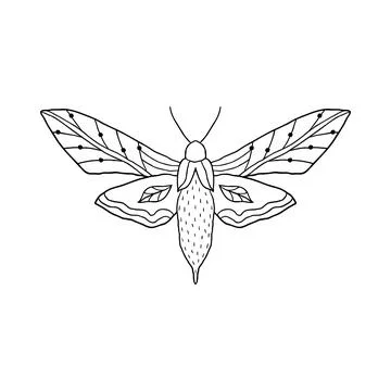Butterfly in doodle style Stock Illustration