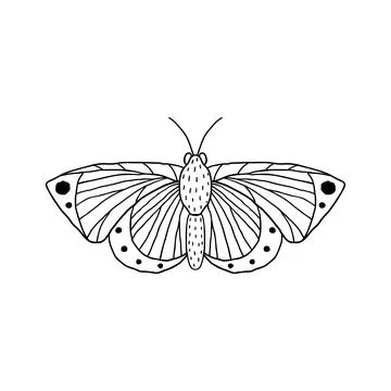 Butterfly in doodle style Stock Illustration