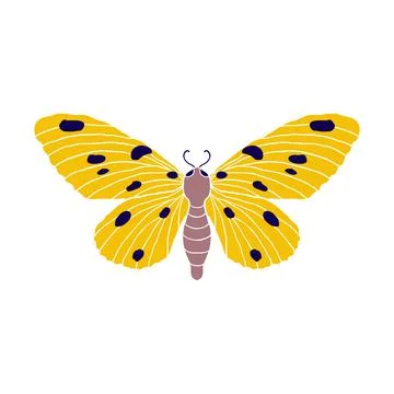 Butterfly in doodle style Stock Illustration