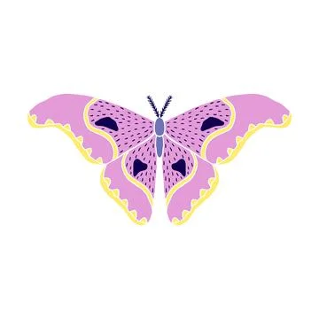 Butterfly in doodle style Stock Illustration