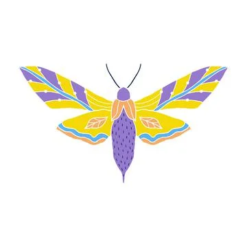 Butterfly in doodle style Stock Illustration