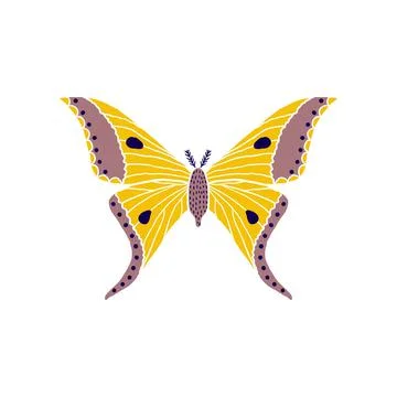 Butterfly in doodle style Stock-Illustration