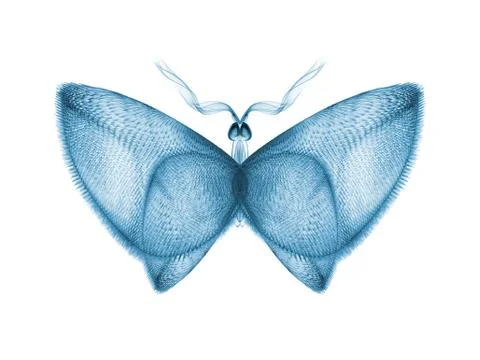 Butterfly Elegance Illustrazione stock