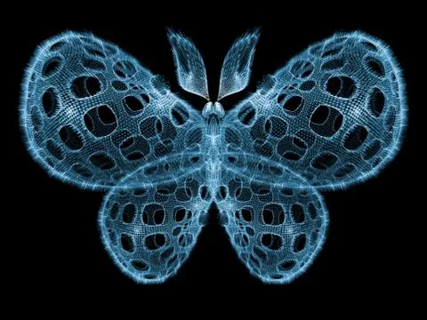 Butterfly Elegance Stock Illustration