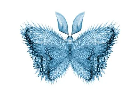 Butterfly Elegance Stock Illustration