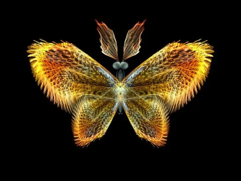 Butterfly Elements Stockillustratie