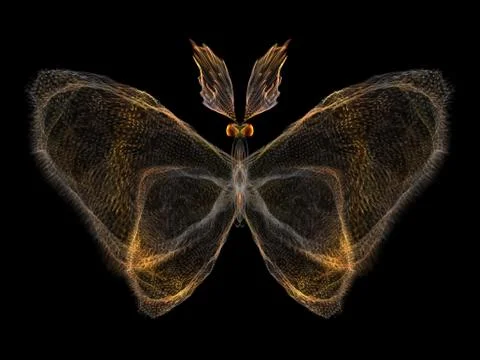 Butterfly Elements Illustrazione stock