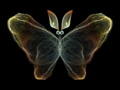 Butterfly Elements Stockillustratie