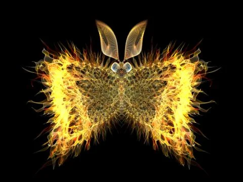 Butterfly Elements Stockillustratie