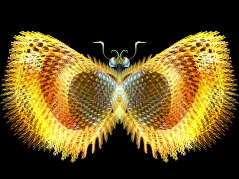 Butterfly Elements Stock Illustration