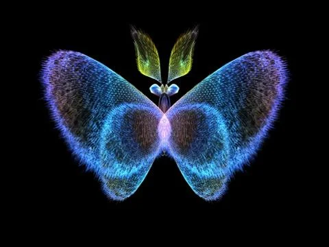 Butterfly Elements Stock Illustration