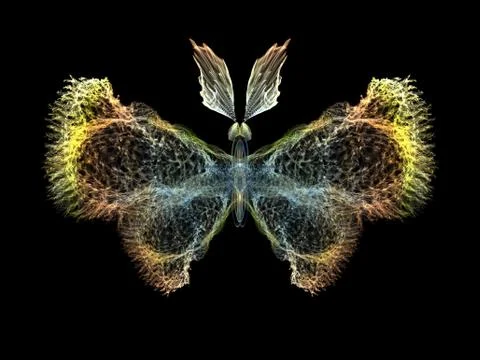 Butterfly Elements Illustrazione stock