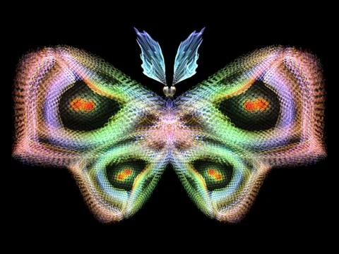 Butterfly Elements イラスト素材