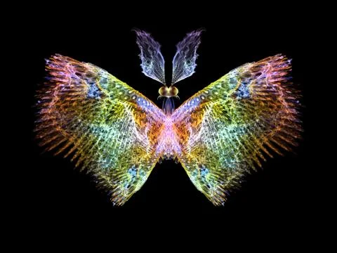 Butterfly Elements Stockillustratie