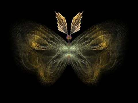 Butterfly Elements イラスト素材