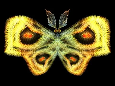 Butterfly Elements Stockillustratie