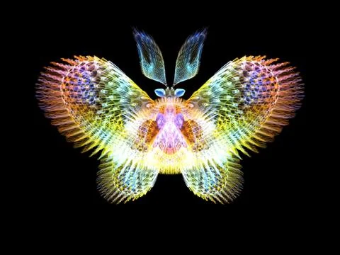 Butterfly Elements Stockillustratie