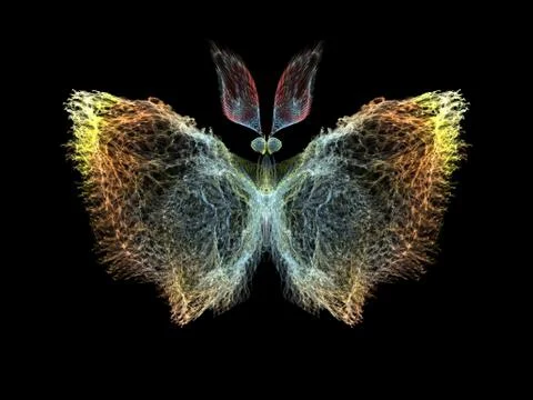 Butterfly Elements Stock Illustration