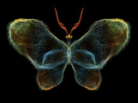 Butterfly Elements Stockillustratie