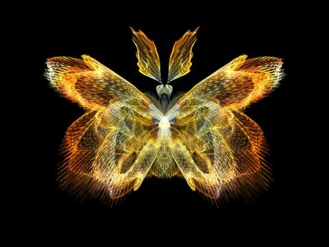 Butterfly Elements Stock Illustration