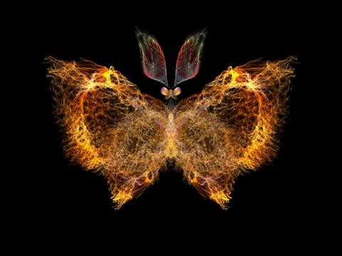 Butterfly Elements Stockillustratie