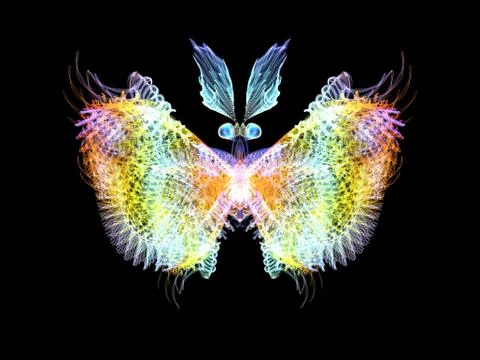 Butterfly Elements イラスト素材