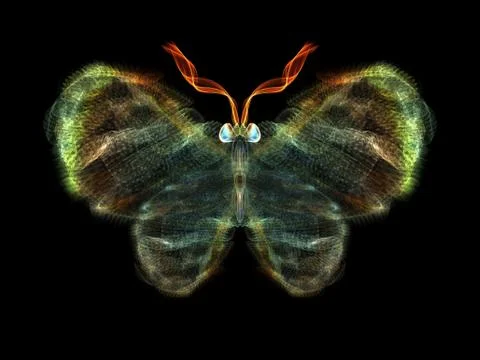 Butterfly Elements Stock Illustration