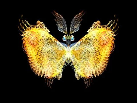 Butterfly Elements Stock Illustration