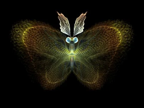 Butterfly Elements Stock Illustration