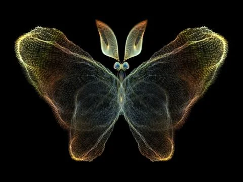 Butterfly Elements Stockillustratie