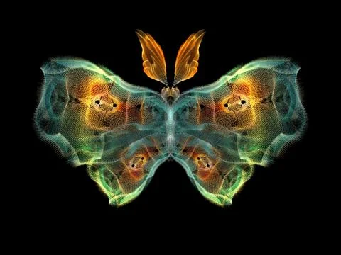 Butterfly Elements Stock Illustration