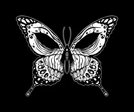 Butterfly with a evil skull 库存插图