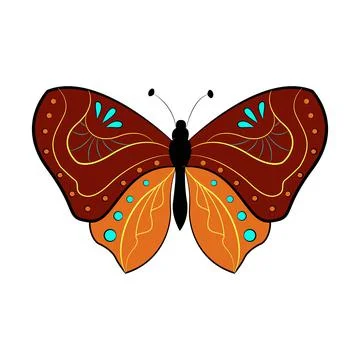 Butterfly exotic winged insect, vector illustration. Colored butterfly with Illustrazione stock