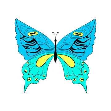 Butterfly exotic winged insect, vector illustration. Colored butterfly with Illustrazione stock