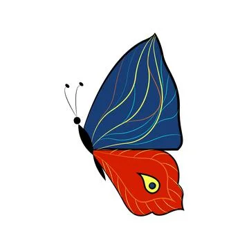 Butterfly exotic winged insect, vector illustration. Colored butterfly with Stock Illustration