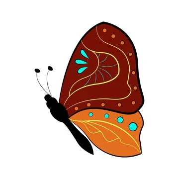 Butterfly exotic winged insect, vector illustration. Colored butterfly with Stock Illustration