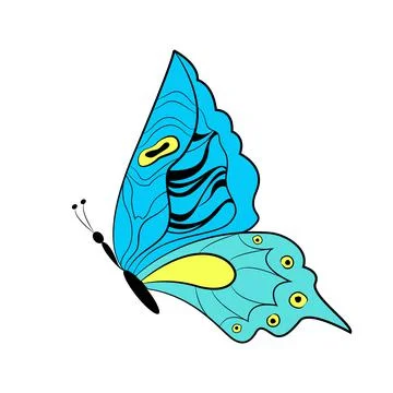 Butterfly exotic winged insect, vector illustration. Colored butterfly with Stock Illustration
