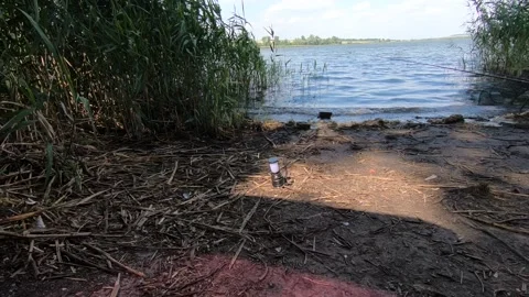 A butterfly flies around a flashlight on the river bank. Stock-Footage 138874267