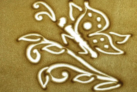 Butterfly on a flower Stock Footage 24710185