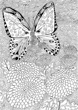 Butterfly on flower. Hand drawn patterns for coloring. 스톡 일러스트