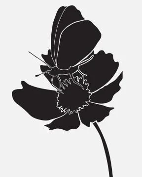 Butterfly on the flower Illustrazione stock
