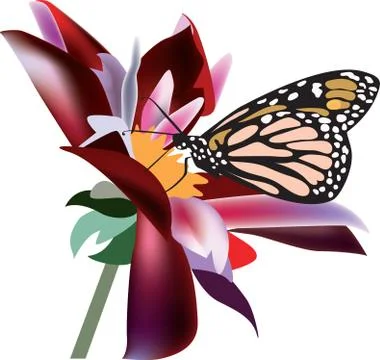 Butterfly on a flower Stock Illustration