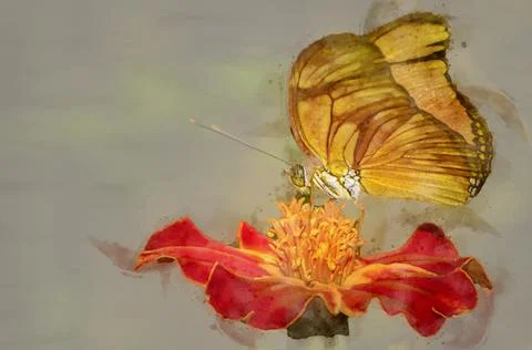 Butterfly on flower Stock Illustration